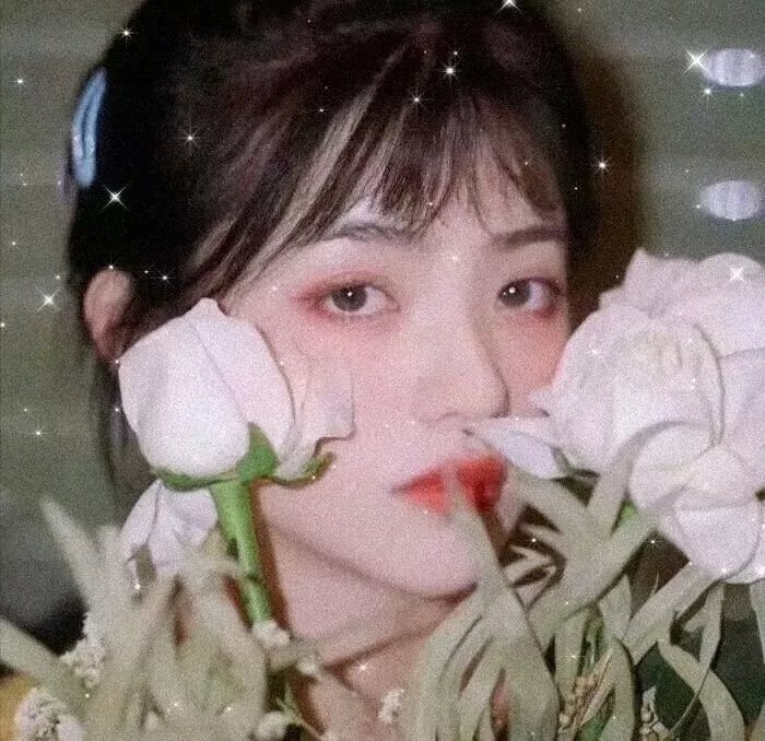如歌的岁月